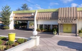 Inn at The Commons Medford