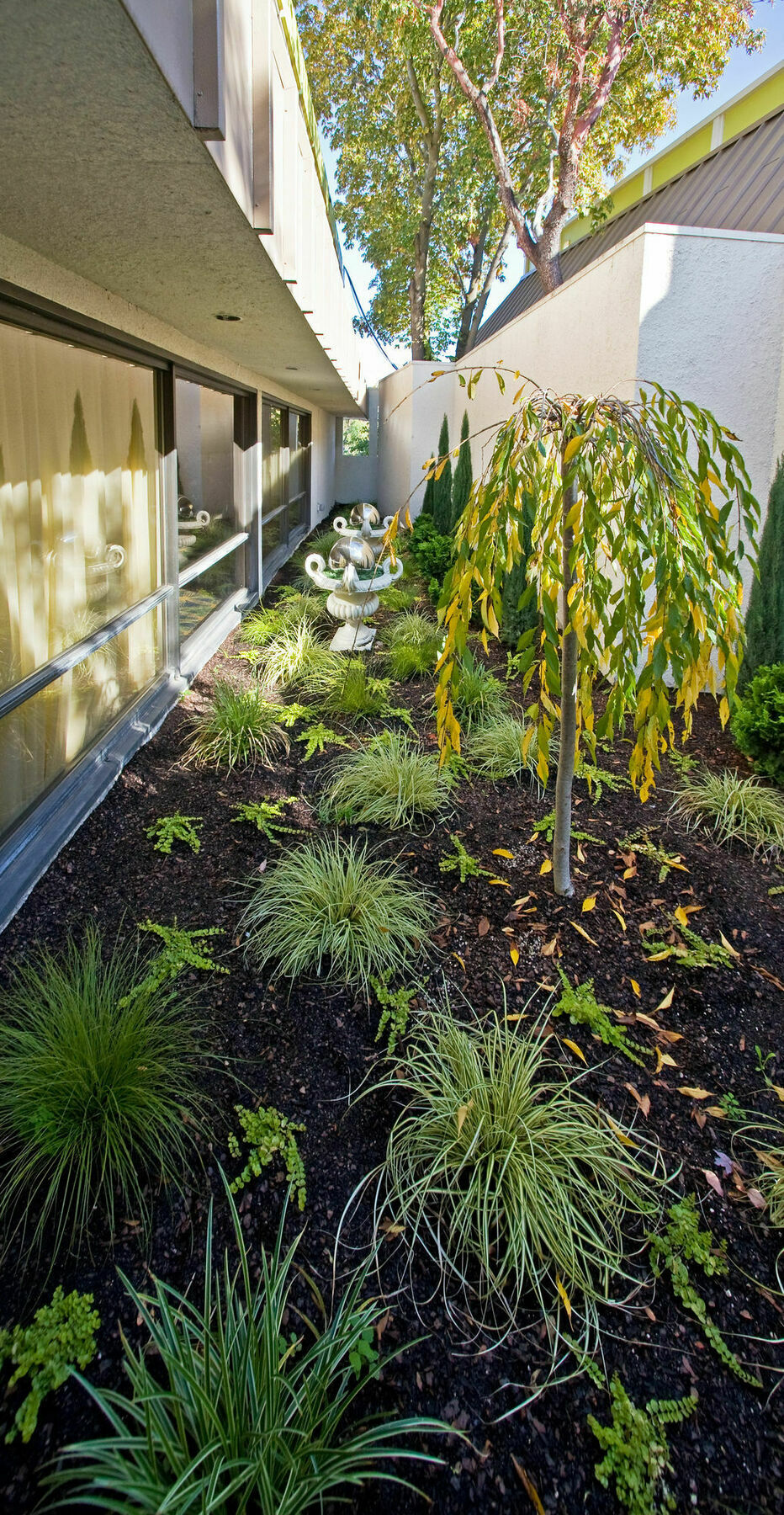 Inn At The Commons Medford Exterior photo